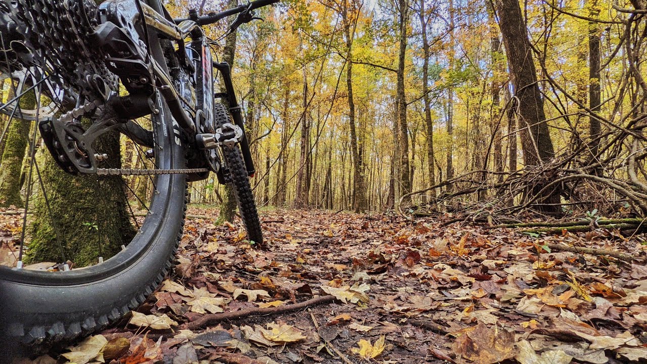 Why I Don't Use ECO Mode on the e-Bike.