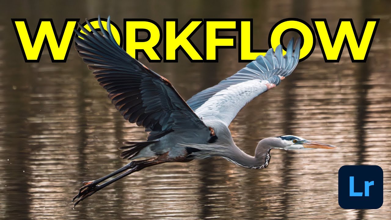 My MUST KNOW Lightroom Edits For Bird Photography