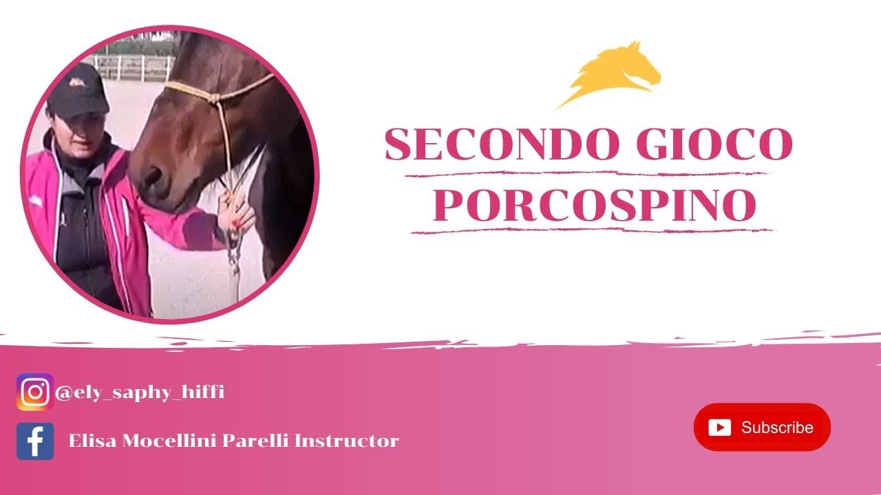 2° GIOCO PARELLI | IL GIOCO DEL PORCOSPINO | ELISA MOCELLINI