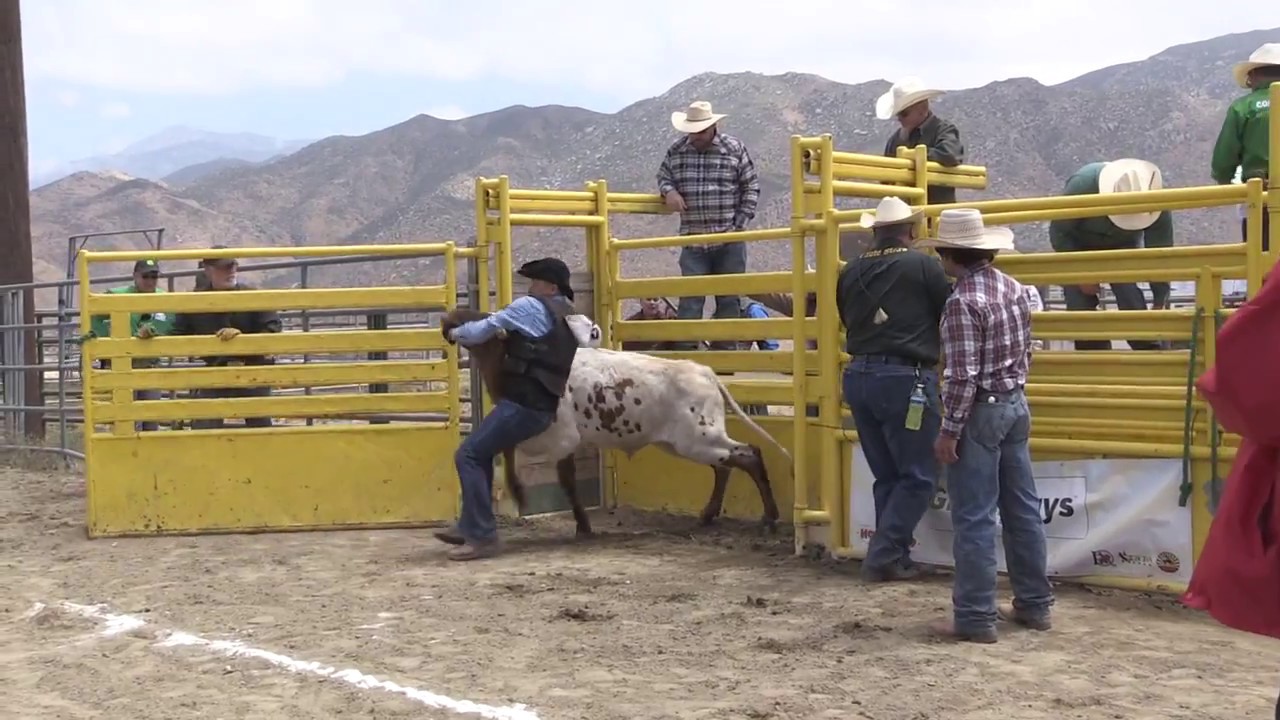 2018 Chute Dogging, Hot Rodeo