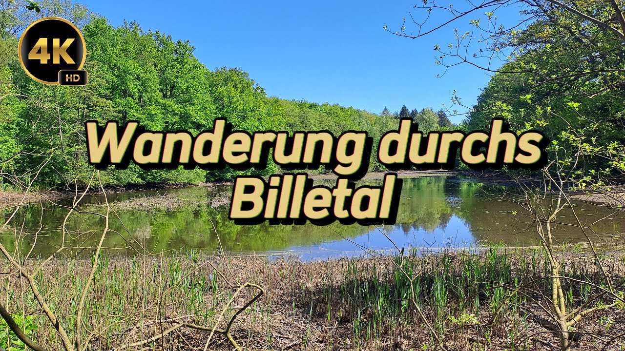 Wanderung durchs Billetal im Sachsenwald - 4K HD
