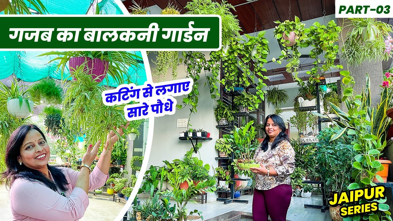 कटिंग से लगाए सारे पौधे 😲 😲 तैयार किया गजब का बालकनी गार्डन 😍 😍