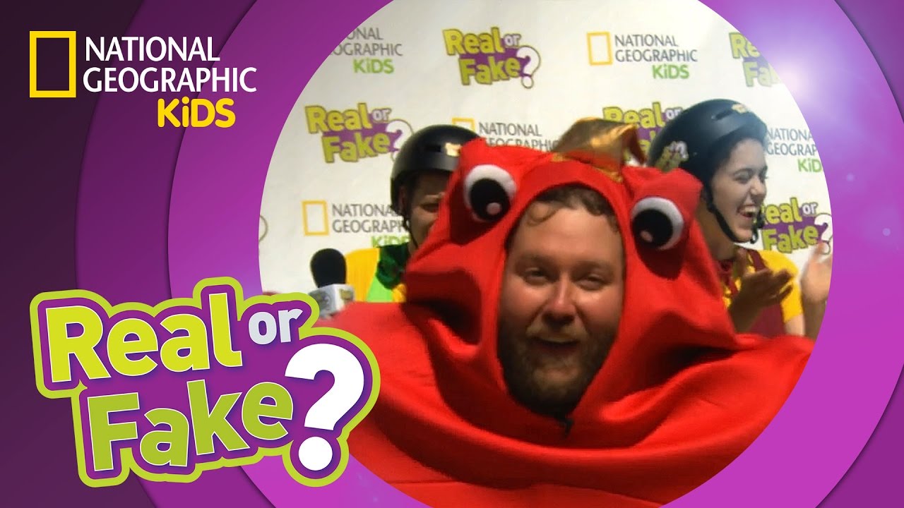 Sizzle Up or Sizzle Out? | Real Or Fake? (Game Show)