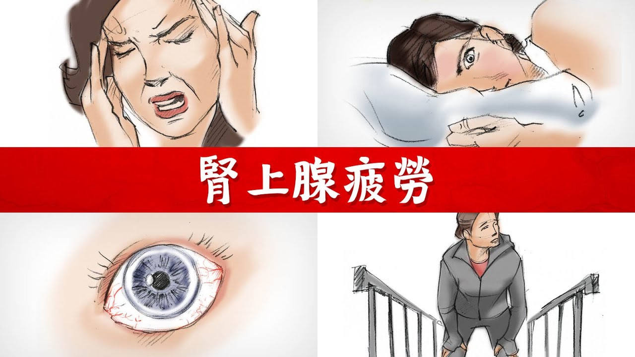 腎上腺疲勞與高壓力?自我測試7種方法,柏格醫生 Dr Berg