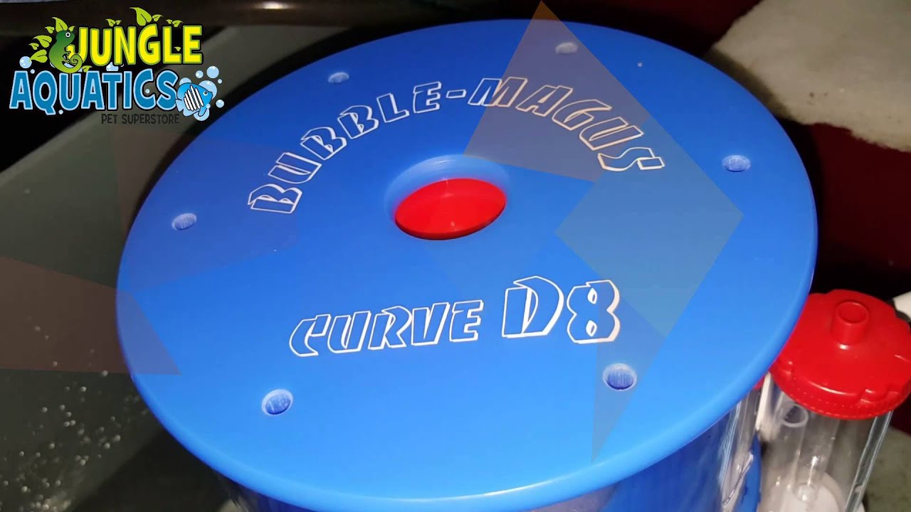 Testing Bubble Magus Curved D8 DC Protein Skimmer Performance
