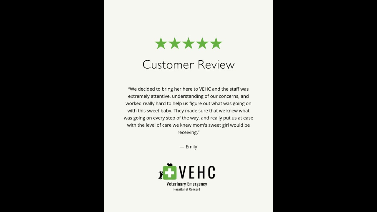 VEHC - 5 Star Customer Review #7