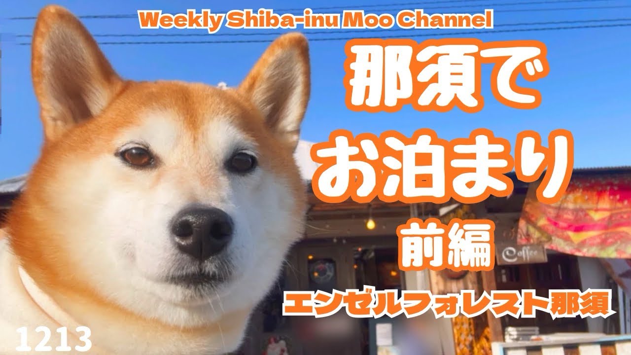 【号外】柴犬と那須でお泊まりしてきた（前編） #休日072