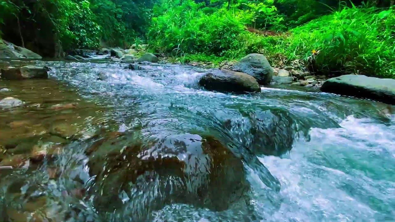 Вы уснёте за минуты 🌿 Кристально чистая река в тропическом лесу | ASMR