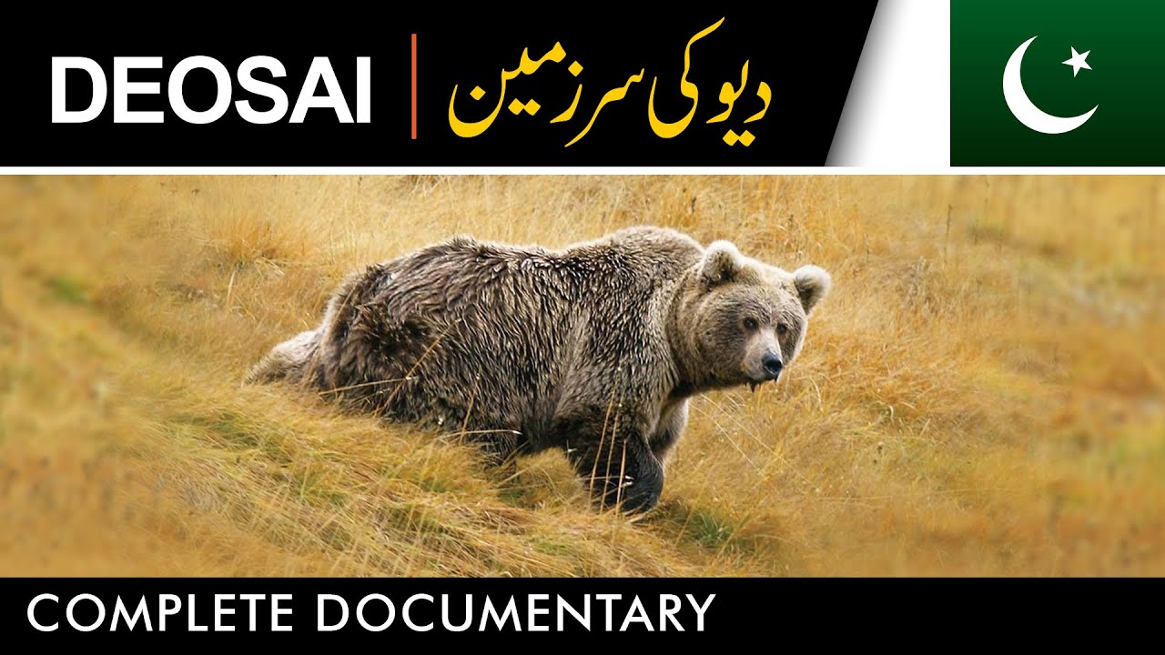 DEOSAI - LAND OF THE GIANT