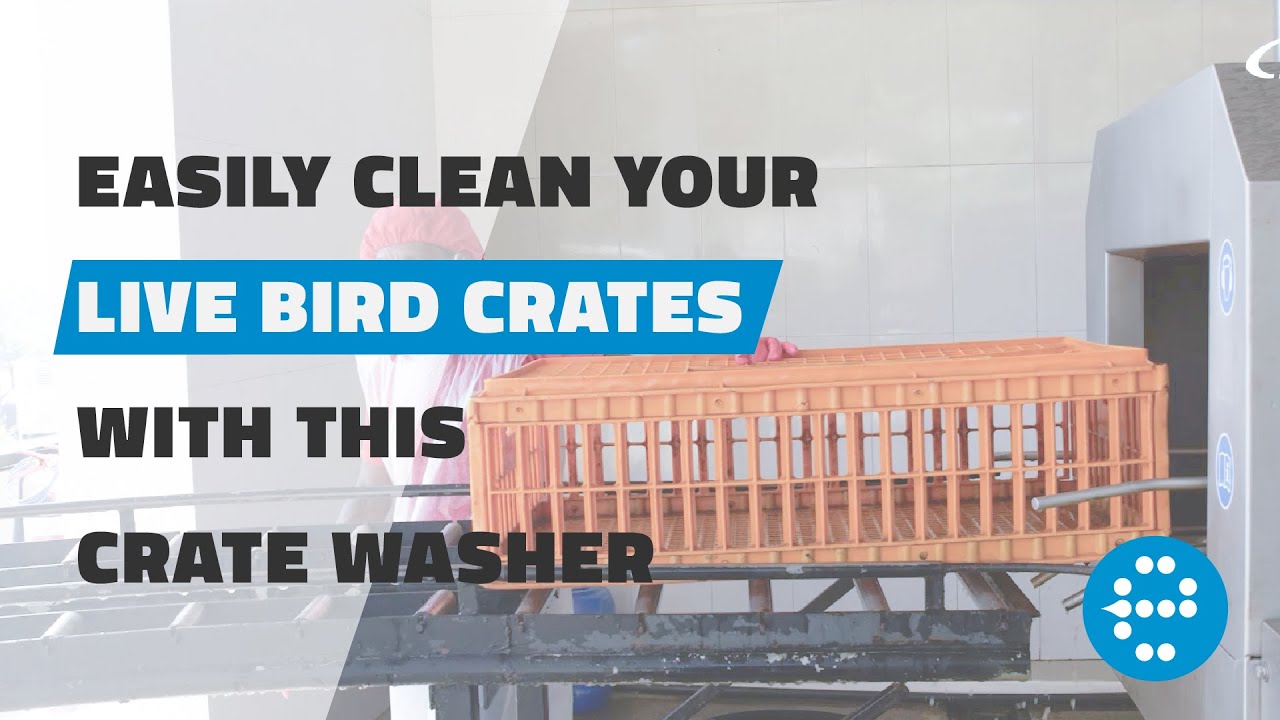 Live Bird Crate Washer for the Poultry Industry