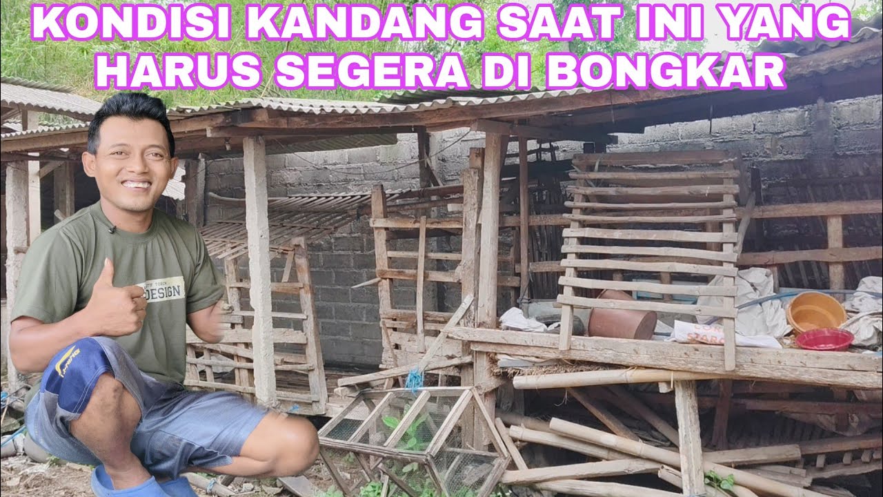 BELAKANG RUMAH SAAT INI HARUS SEGERA DI BONGKAR ⁉️