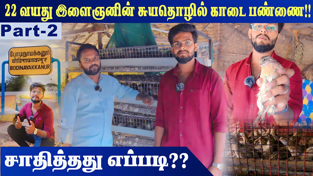 காடை Brooding முதல் விற்பனை வரை !!  | The First Occupation Farm | Theni | Quail Farm