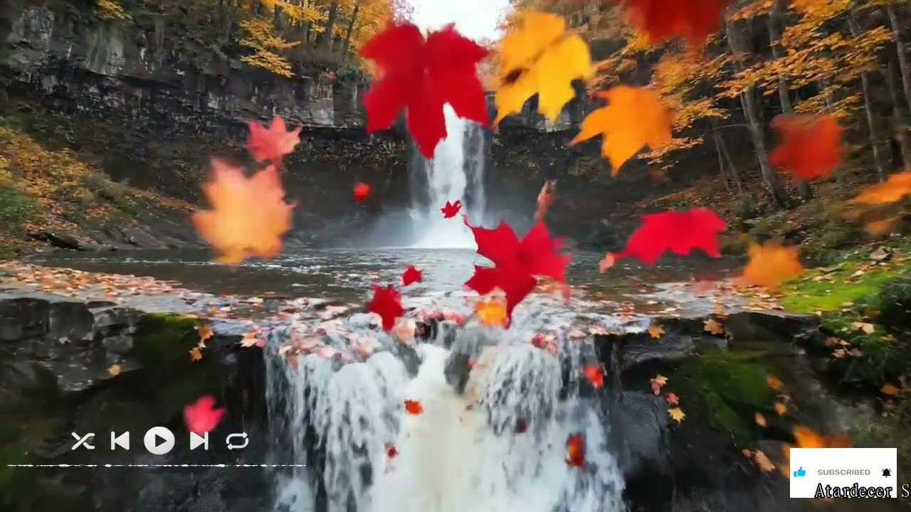 🎹 Piano Solo Neoclásico | Meditación Clásica | Encuentro con la Paz