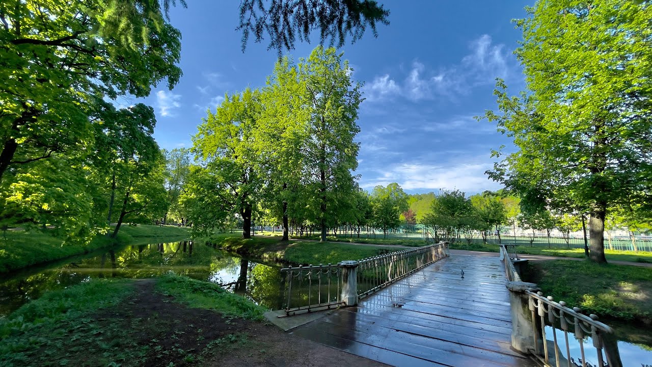Rain After Day Garden Walk. Nature Walking Tauride Gardens. 4K 60p. HDR.