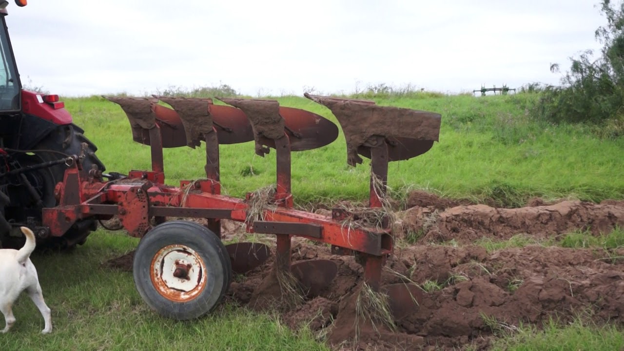 Starting a hay farm from the beginning