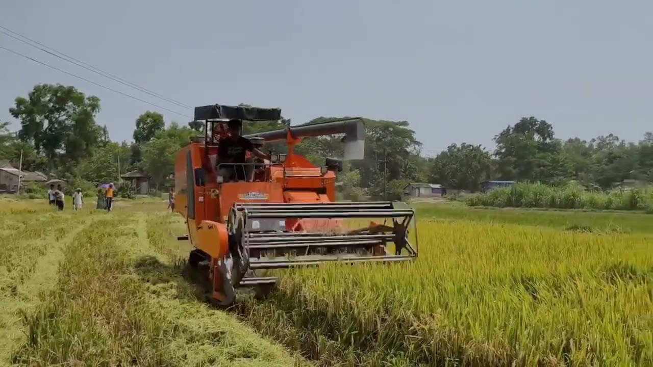 SHAKTIMAN PADDY HARVESTER 3875😈😈 BEST CUTTING RICE IN THE FIELD..NEW @HARVESTER FOR NEW EXPERIENCE @
