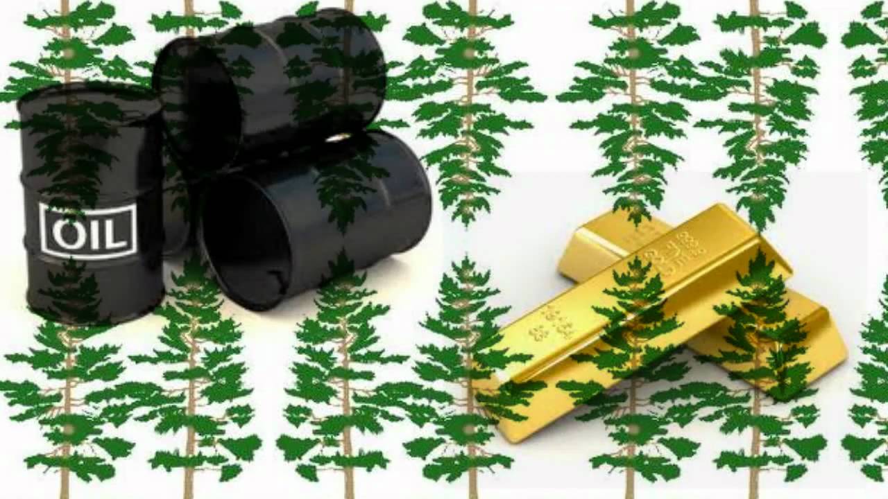 Scott's Wacky World of Human Geography Wonder