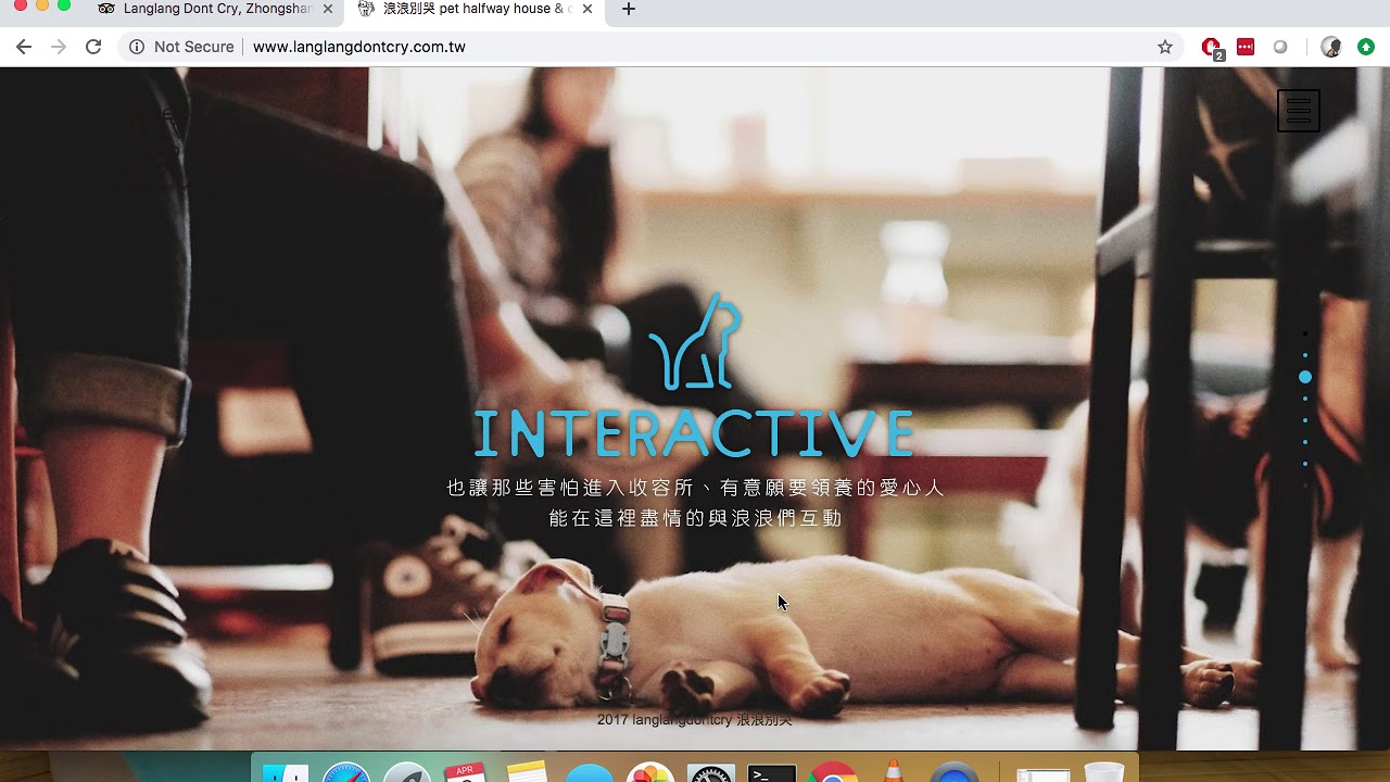 Pet Cafe in TaiWan serves as a refuge for stray animals