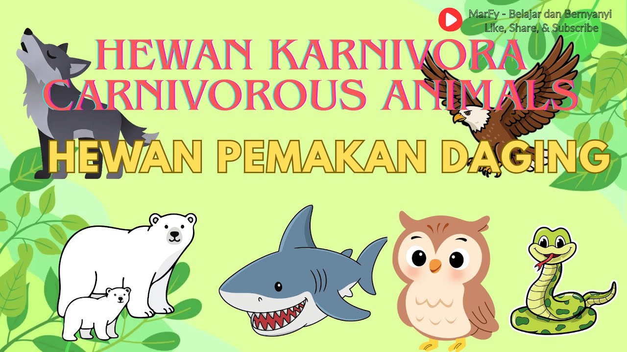 Belajar Hewan Karnivora 🐯 | Bahasa Inggris & Indonesia | Hewan Pemakan Daging
