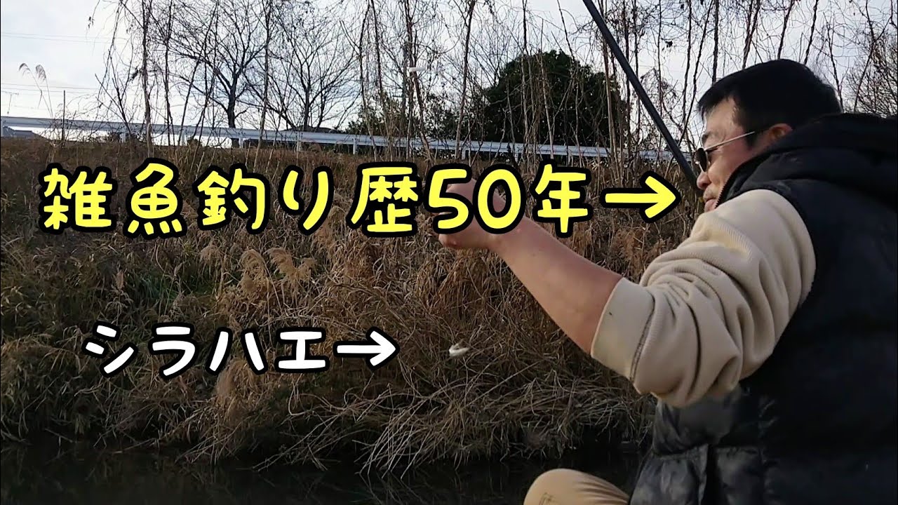 川釣りの原点は雑魚釣りにあり/ ウキ釣り/シラハエ/寒バエ/カワムツ