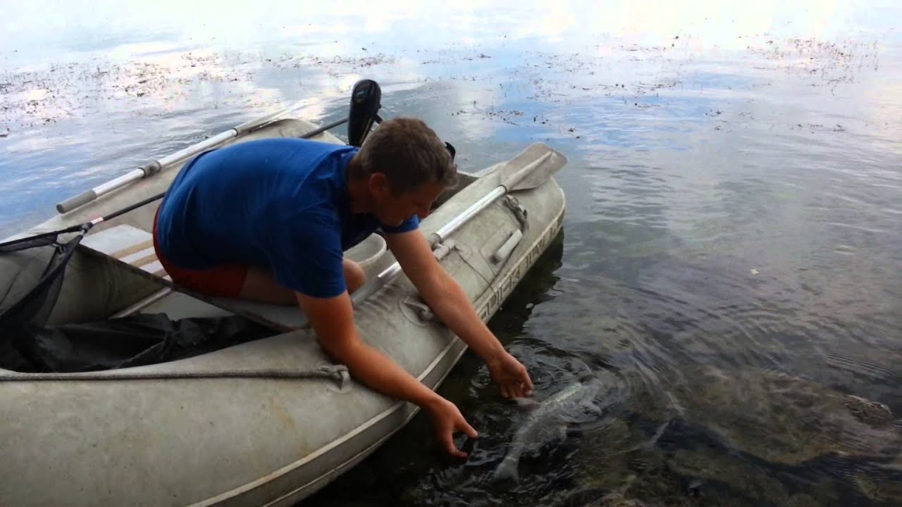 Karpervissen op het Balatonmeer in Hongarije