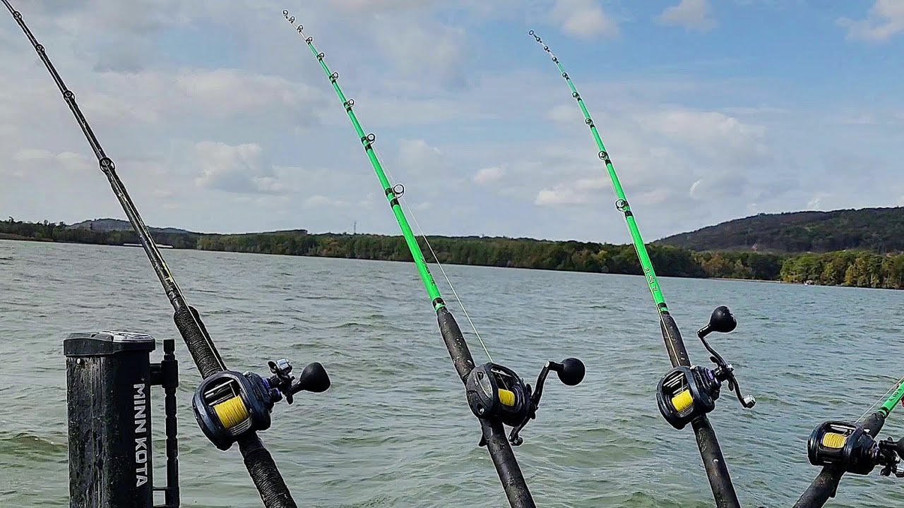We Found The MOTHERLOAD Of BIG FISH!!! (Crazy Bite)