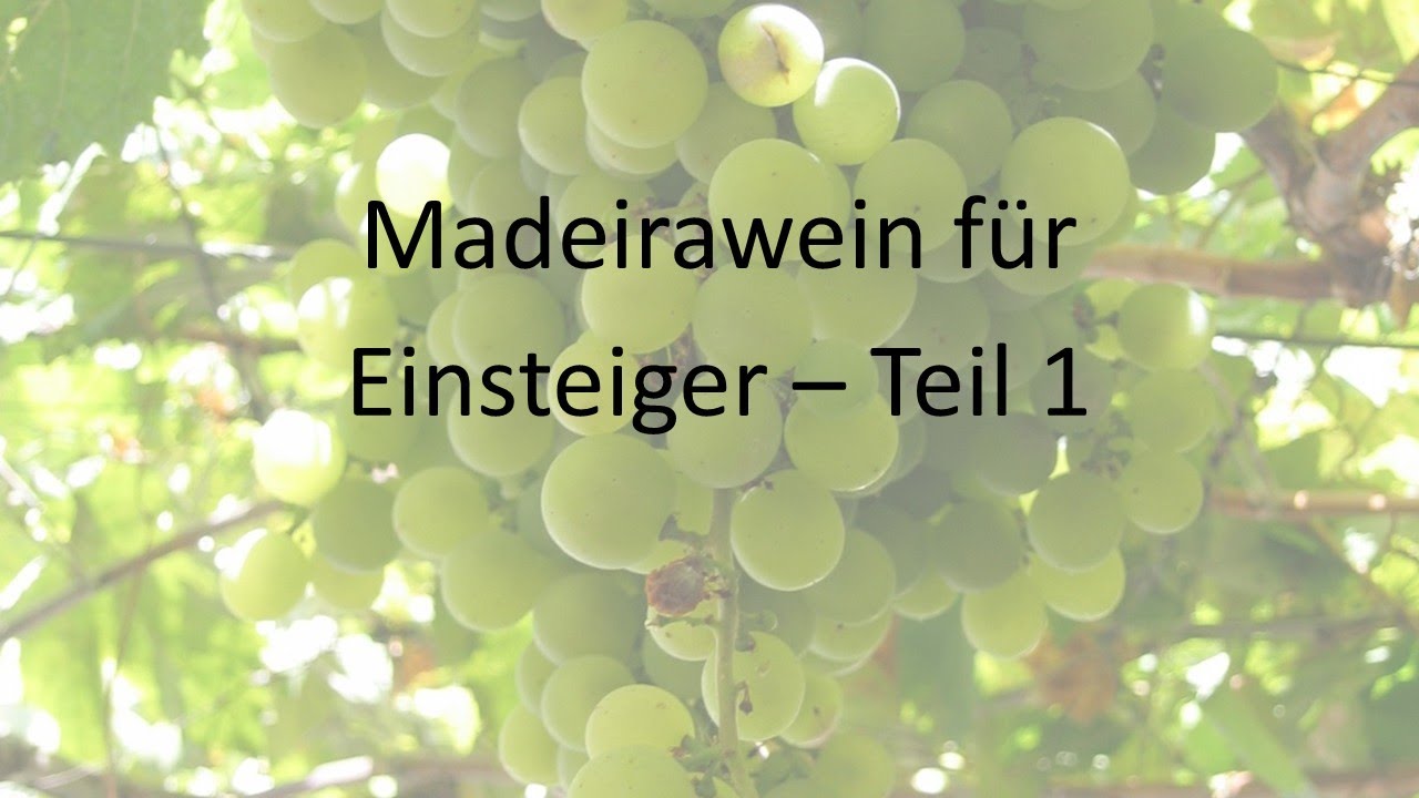 Madeirawein für Einsteiger  - Teil 1