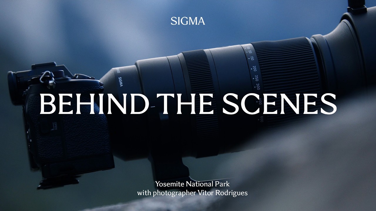 Закулисные съемки с объективом Sigma 60-600mm F4.5-6.3 DG DN OS | Спортивный объектив