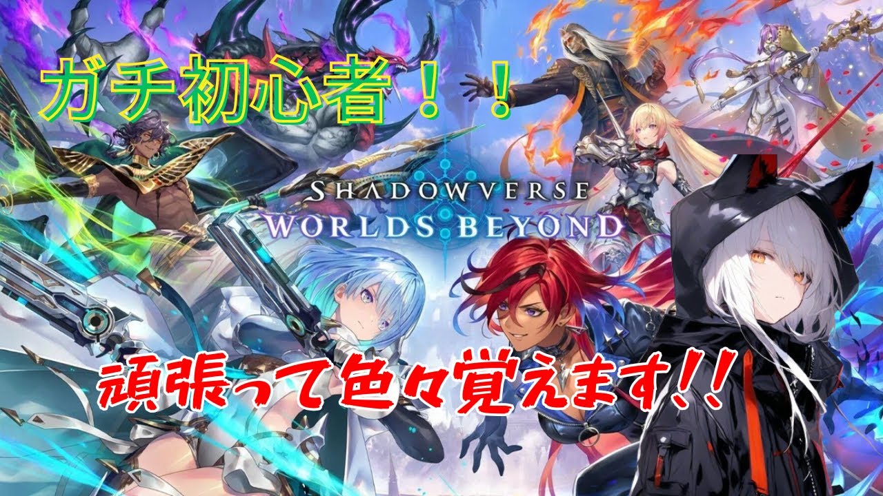 #5【ガチ初心者なので色々教えてケロ～頑張って覚えます！】