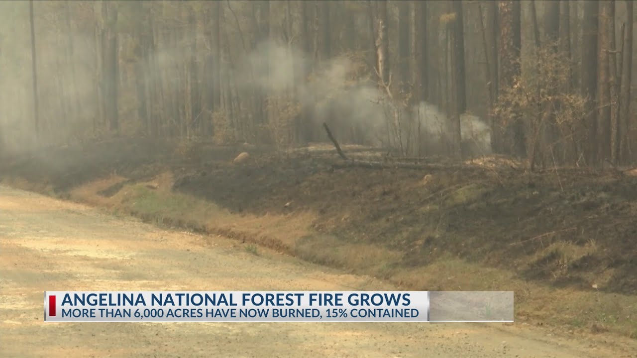 Angelina National Forest wildfire expands to 6,103 acres, 15% contained
