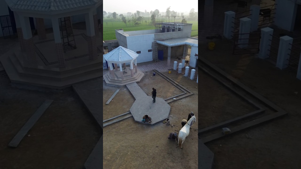 Hamara Mini Zoo | Talha Ghouri Vlogs | #short #ytshort #vlogs