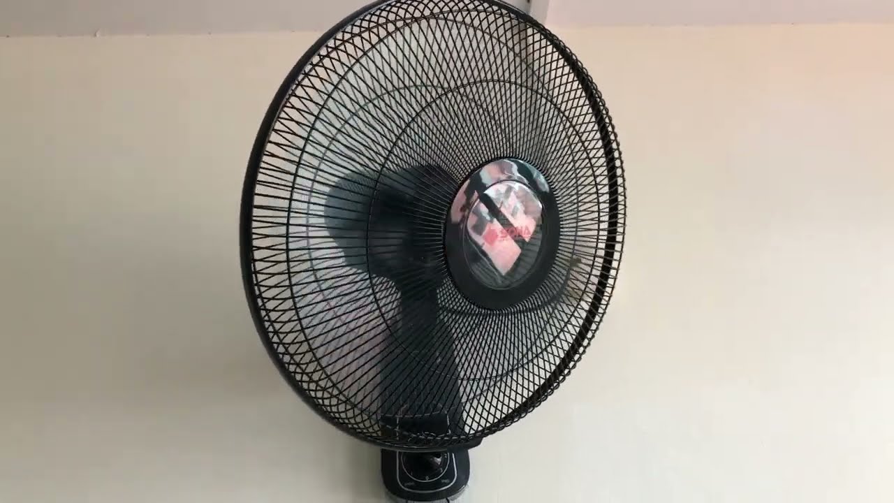 6 YEARS OLD SONA WALLFAN