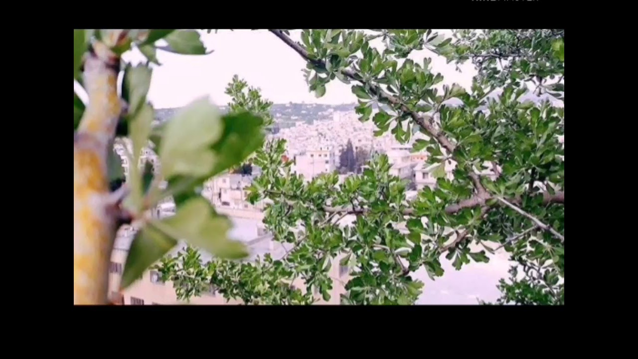 عتابا من تراث البارة#
#صحت يادار ماردت