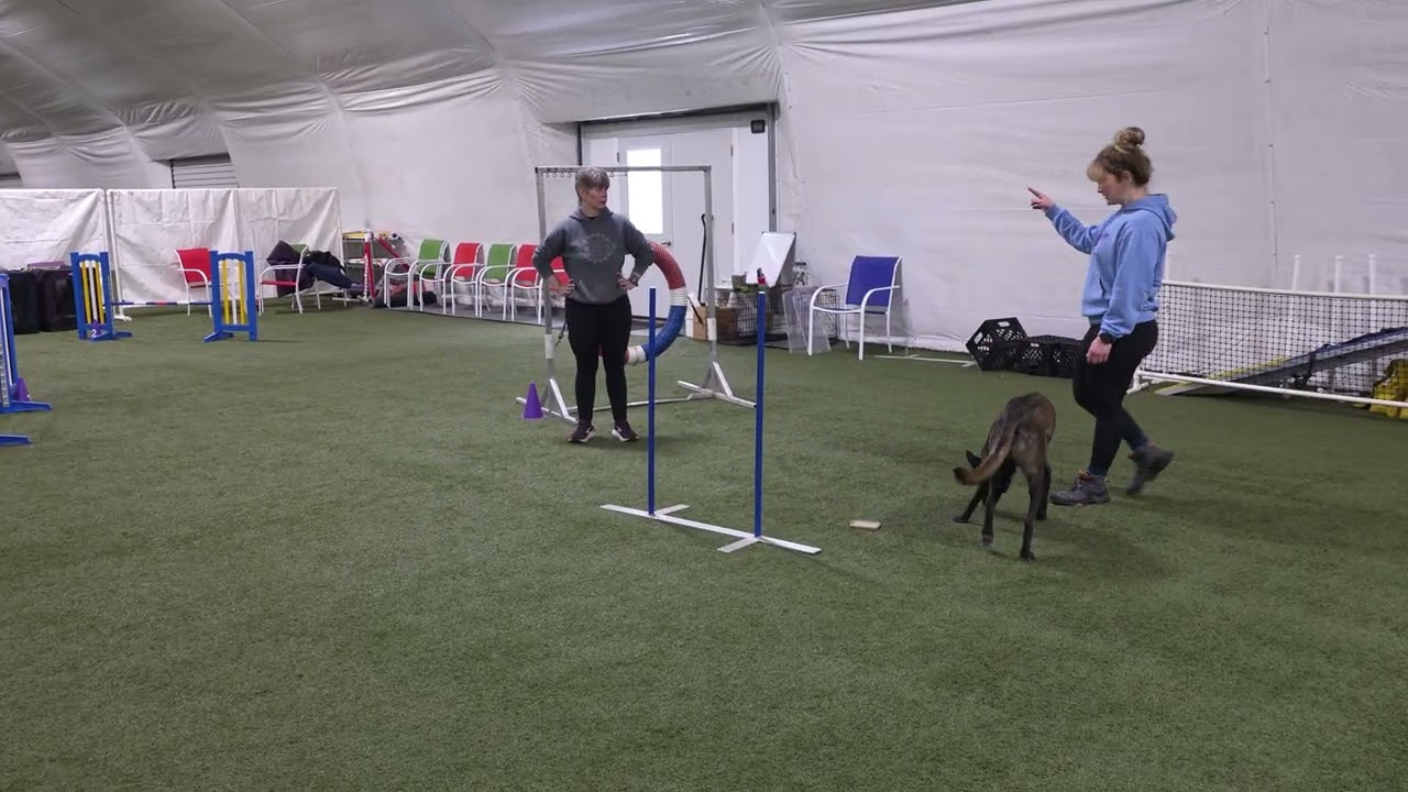 Sekas Agility Journey February 22, 2026