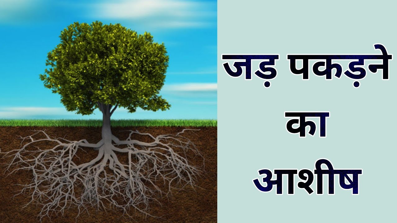 Sunday Service @ VFC Jamshedpur –15/03/2026 – 10:00 am