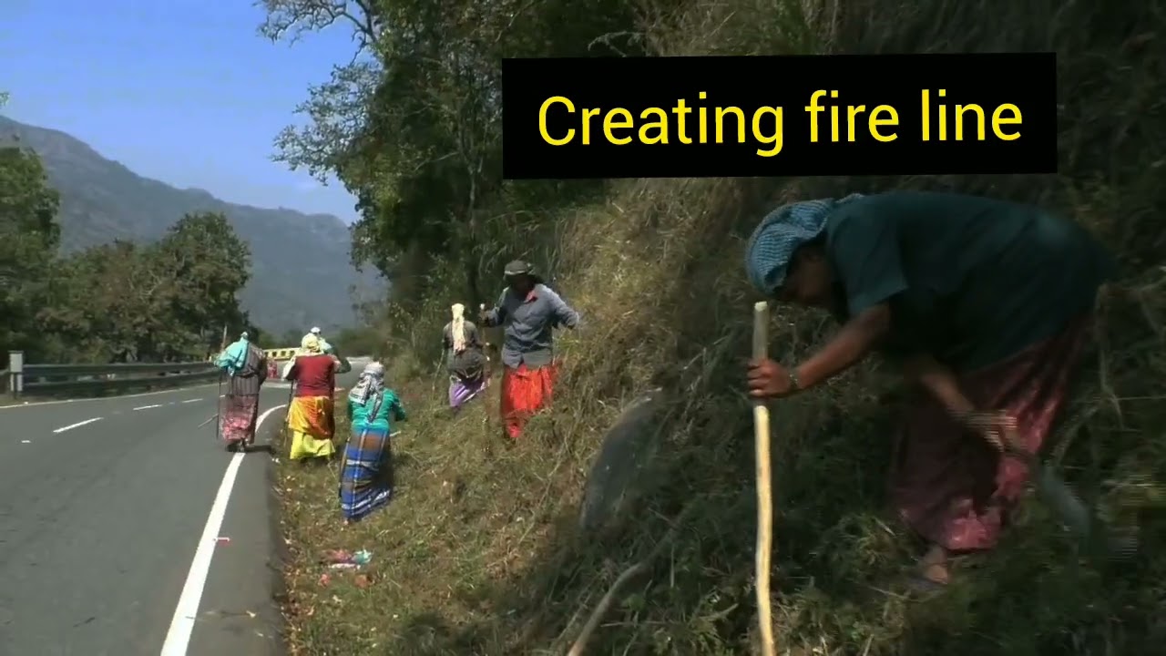 Creating fire line (Mudumalai )