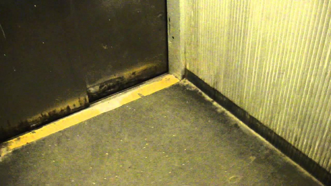 Vintage 1967 Flohr-Otis Traction Elevators @ Gärdet Metro Station