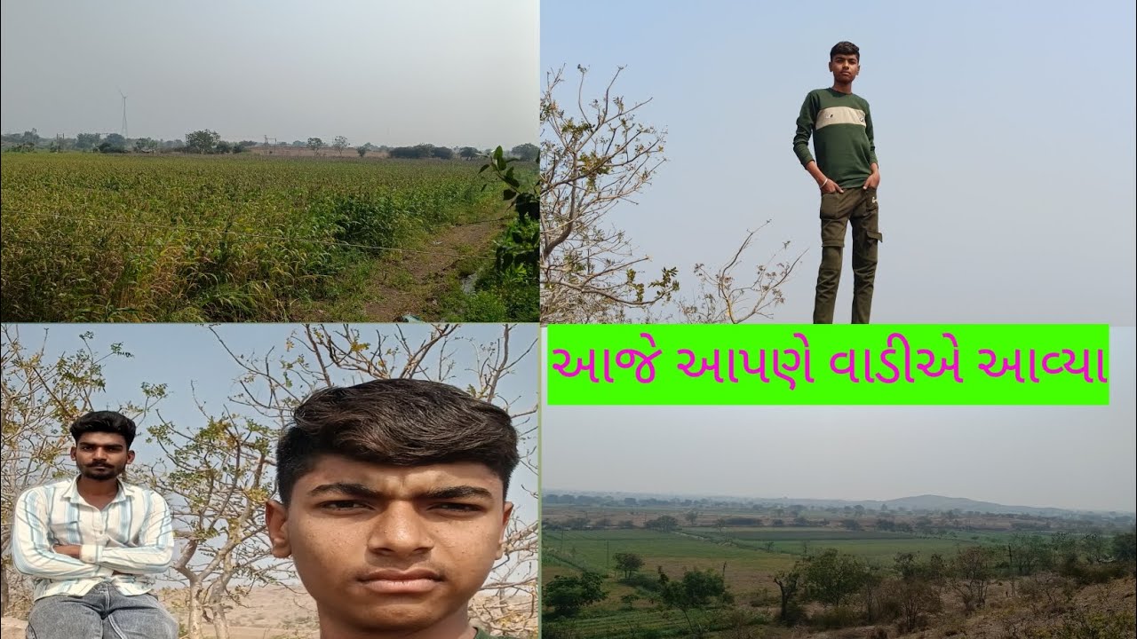 આજે તો આપણે વાડી નો બ્લોગ આવી ગયો