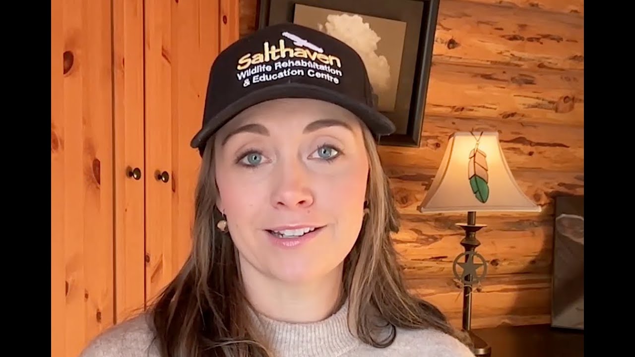 Wild About Wildlife_Episode 7 - In Conversation with Amber Marshall - Part 1