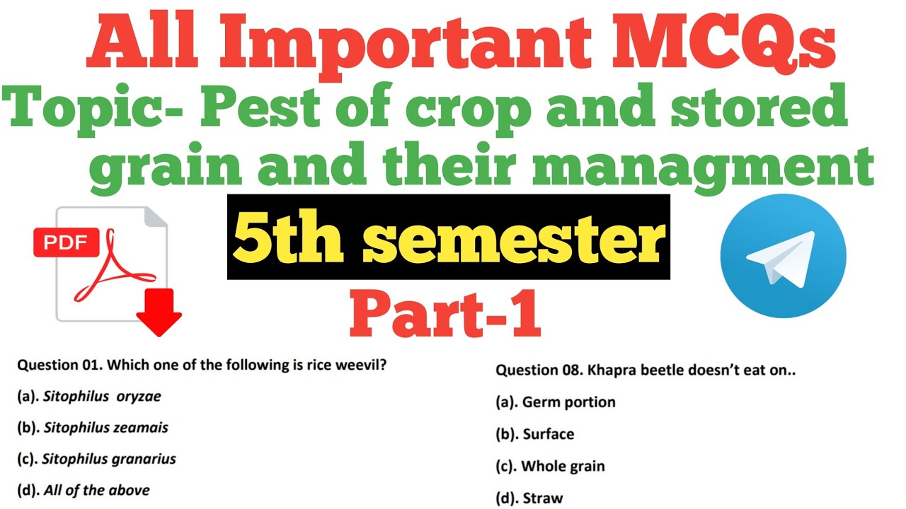 important MCQ's on storage insect pest part-1