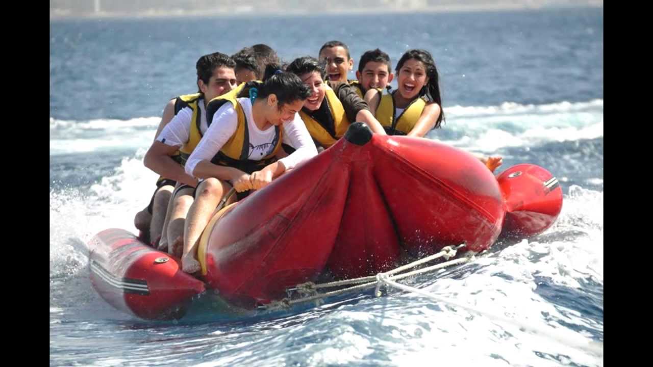 تخريج الفوج 29 الكرمل حيفا