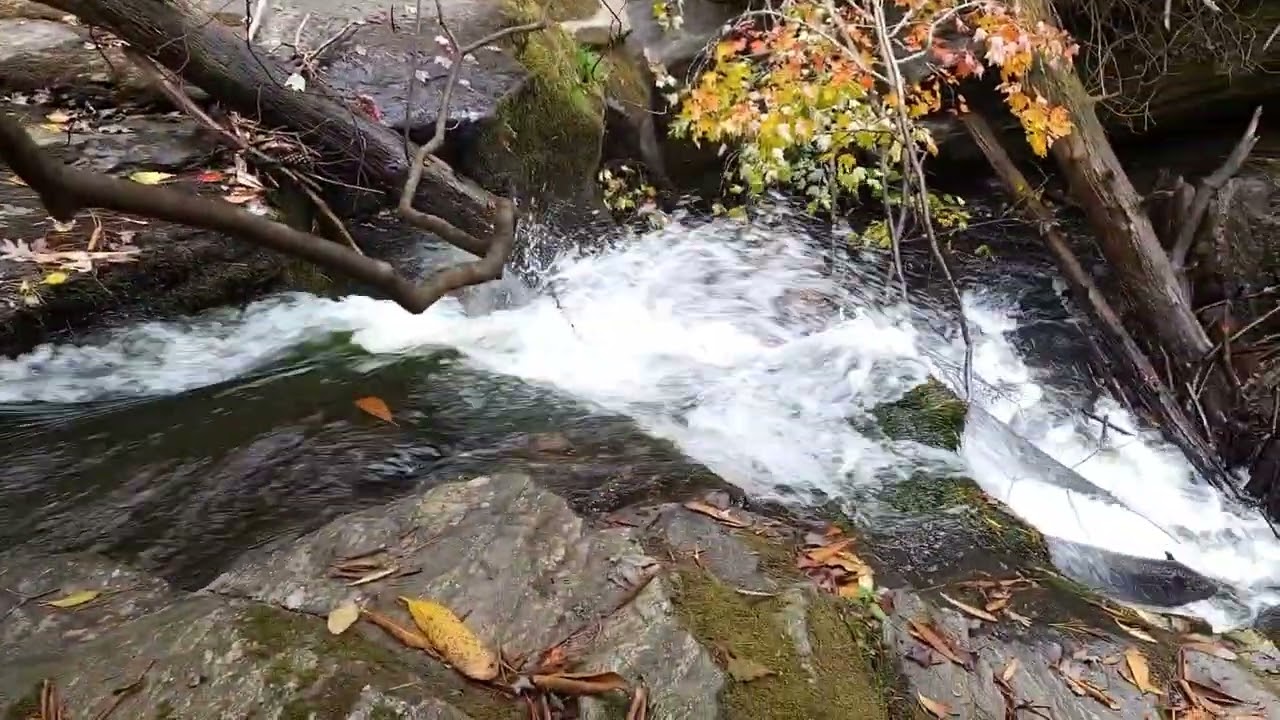 Hiking to Thunder Dome Falls in Rabun County, Ga
