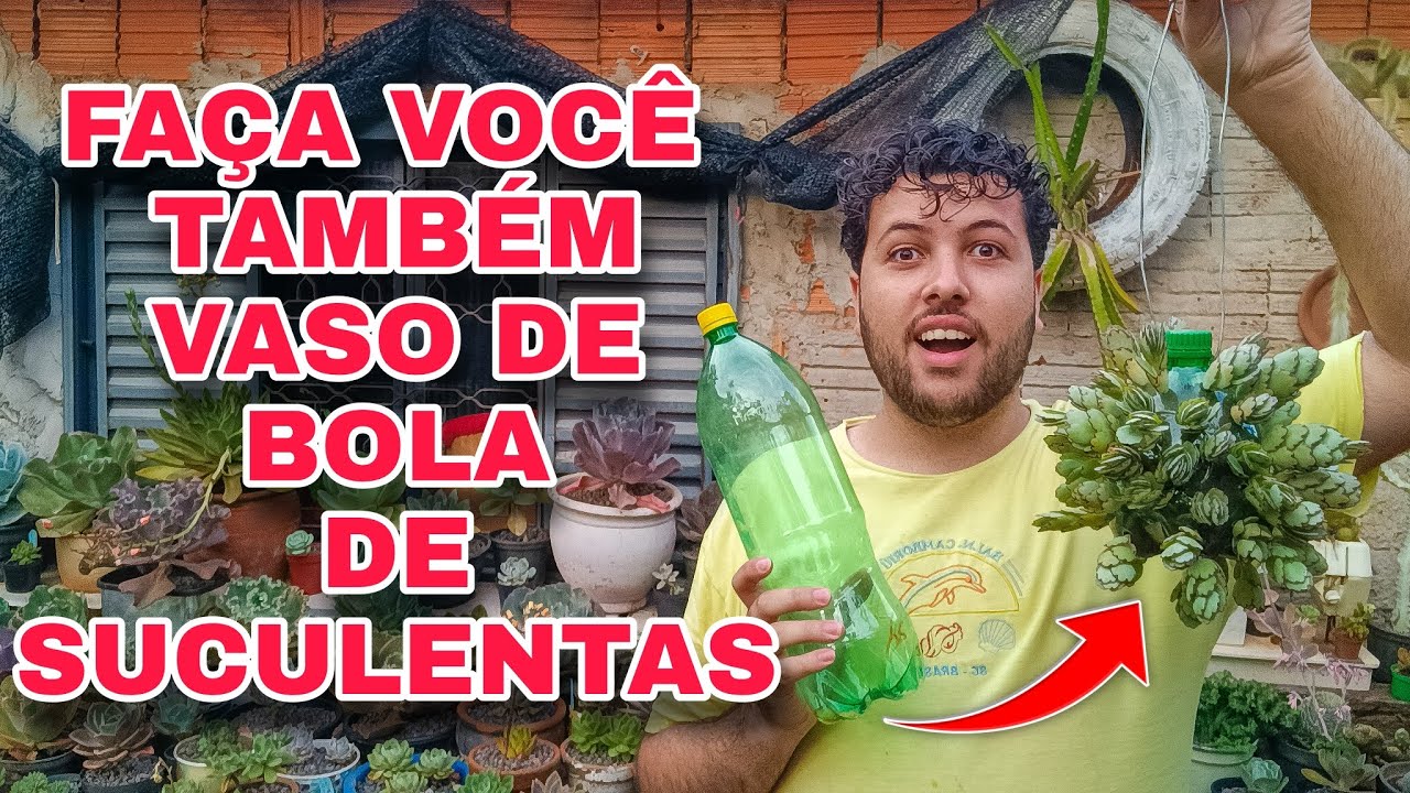 BOLA DE SUCULENTAS FEITA COM GARRAFA PET / DIY DE RECICLAGEM