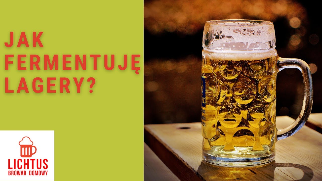 Jak fermentuję lagery ?