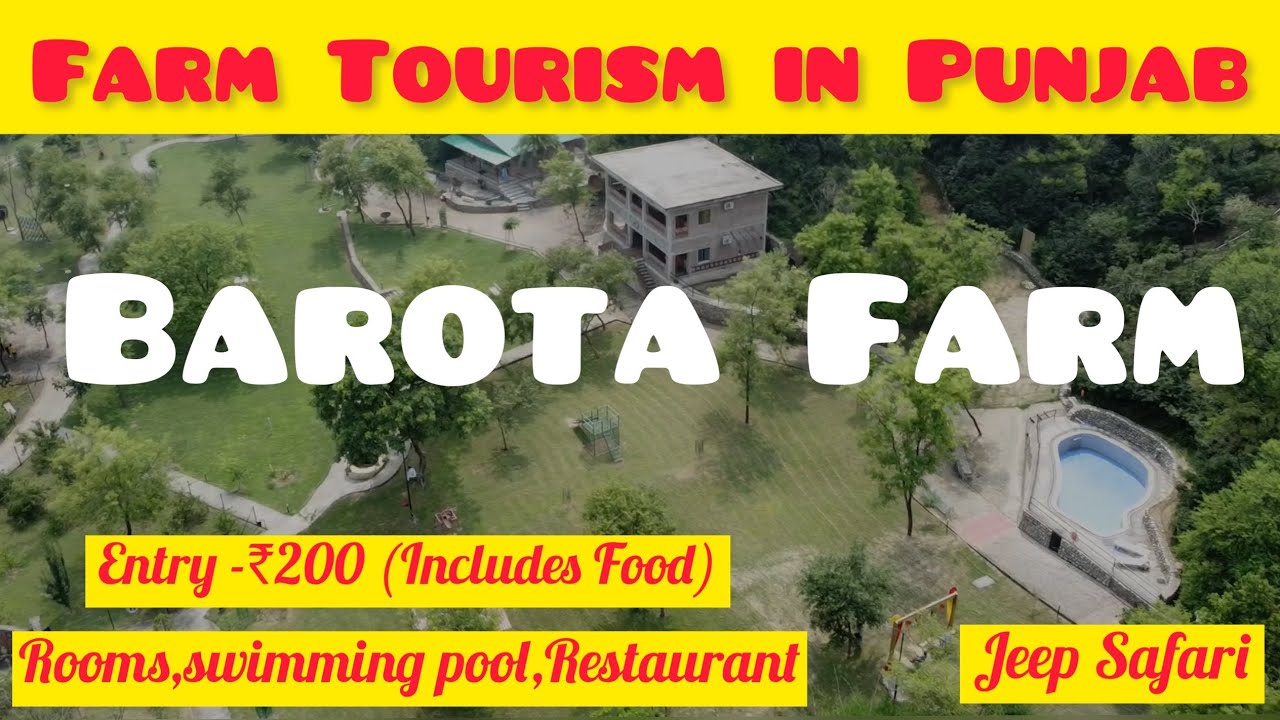 Best place to visit with your Family in Punjab | Barota Farm | Unexplored | Stay, Food, Activities