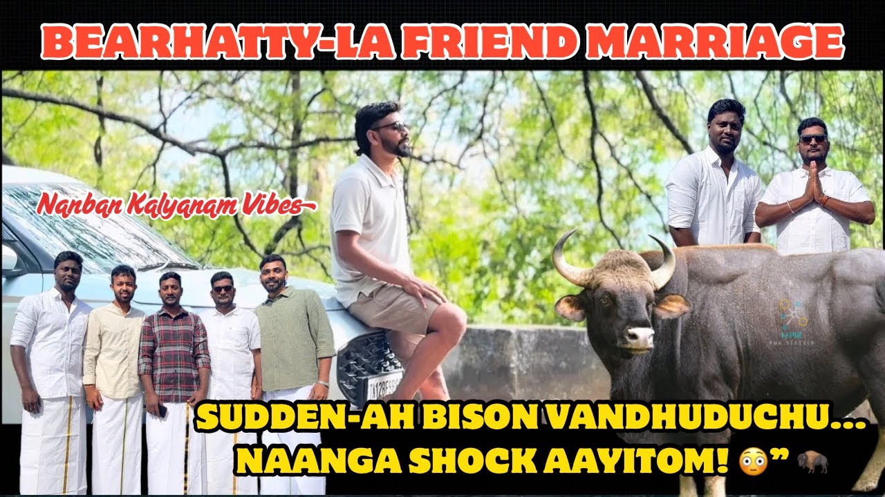 குன்னூர் பர்ஹாட்டி-ல ஃப்ரெண்ட் மேரேஜ்... திடீர்னு காட்டெருமை வந்துடுச்சு! 😳🦬 | Rahul Hub Station 