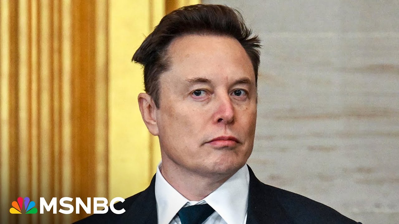 Elon Musk called out for raking in $8 million a day from taxpayers