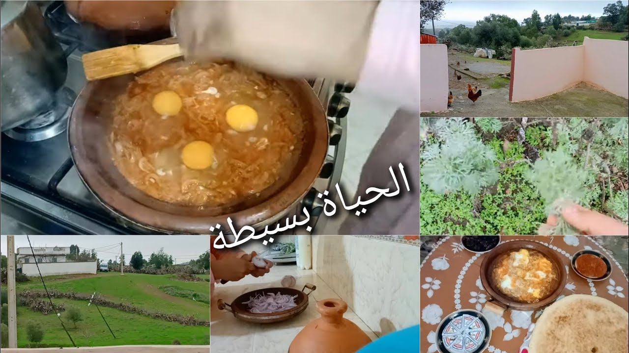 روتين صباحي مميز في البادية الحياة بسيطة الحمد لله على هاد الخير الوقت زيانت