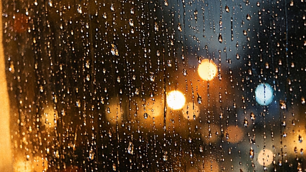 Calm Rain at Night 🌧️ Soft Window Ambience | Pet Pals
