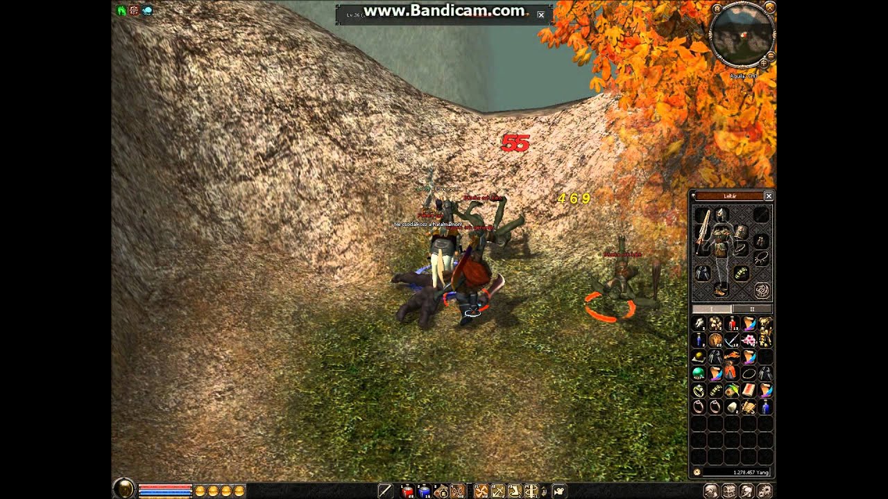 Metin2.hu xXSavageXx lv up 40 &eacute;s az RTM c&eacute;h